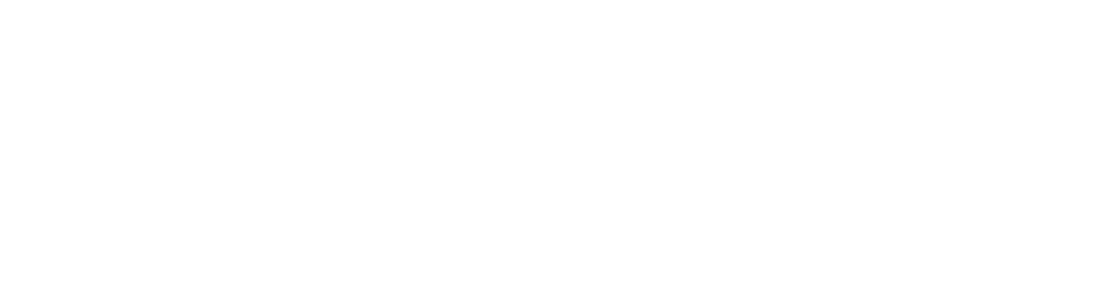 Davinci & Co. Gift